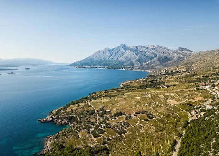 빌라 Luxury Villa Energy Orebic Peljesac With Heated Pool 오레비츠