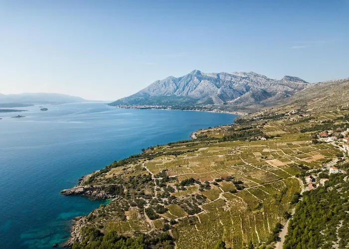 Vila Luxury Energy - Peljesac, Heated Pool, Ideal 8 Guests, Seafront Orebić